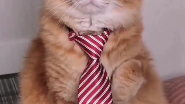 Such a handsome gentleman!!😁