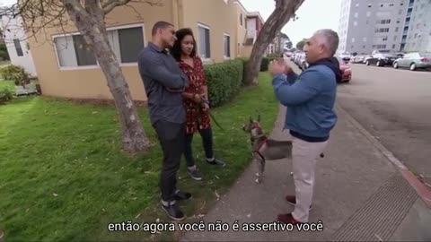 COMO RESOLVER AGRESSÃO DE CÃO