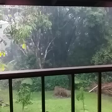 2.12.2024 First Heavy Rain of the Season