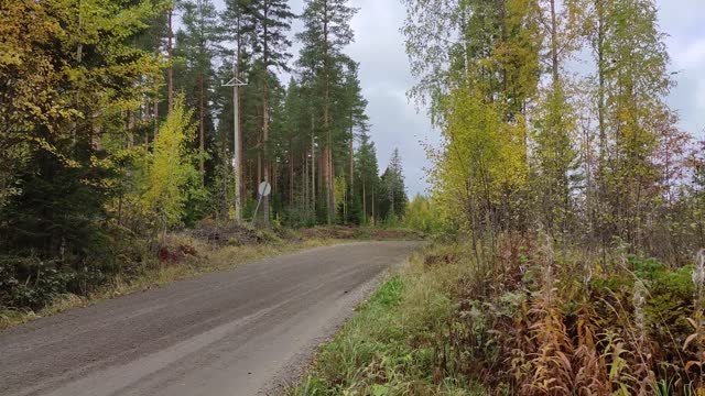 Elfyn Evans Rally Finland 2021 test Toyota Yaris WRC