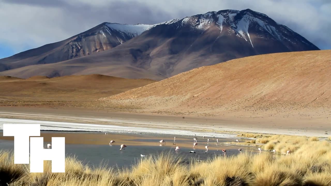 Bolivia