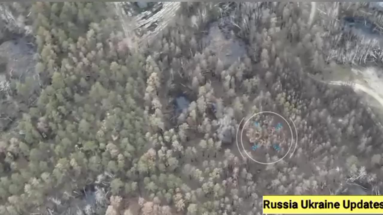 Russian artillery hitting Ukrainian vehicles and positions in the Kremennaya forests.