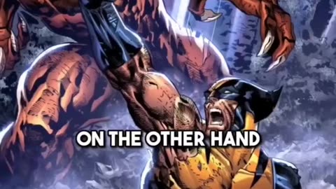 Sabertooth vs wolverine