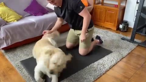 If You Have a Golden Retriever then Workout at Home is not for You!