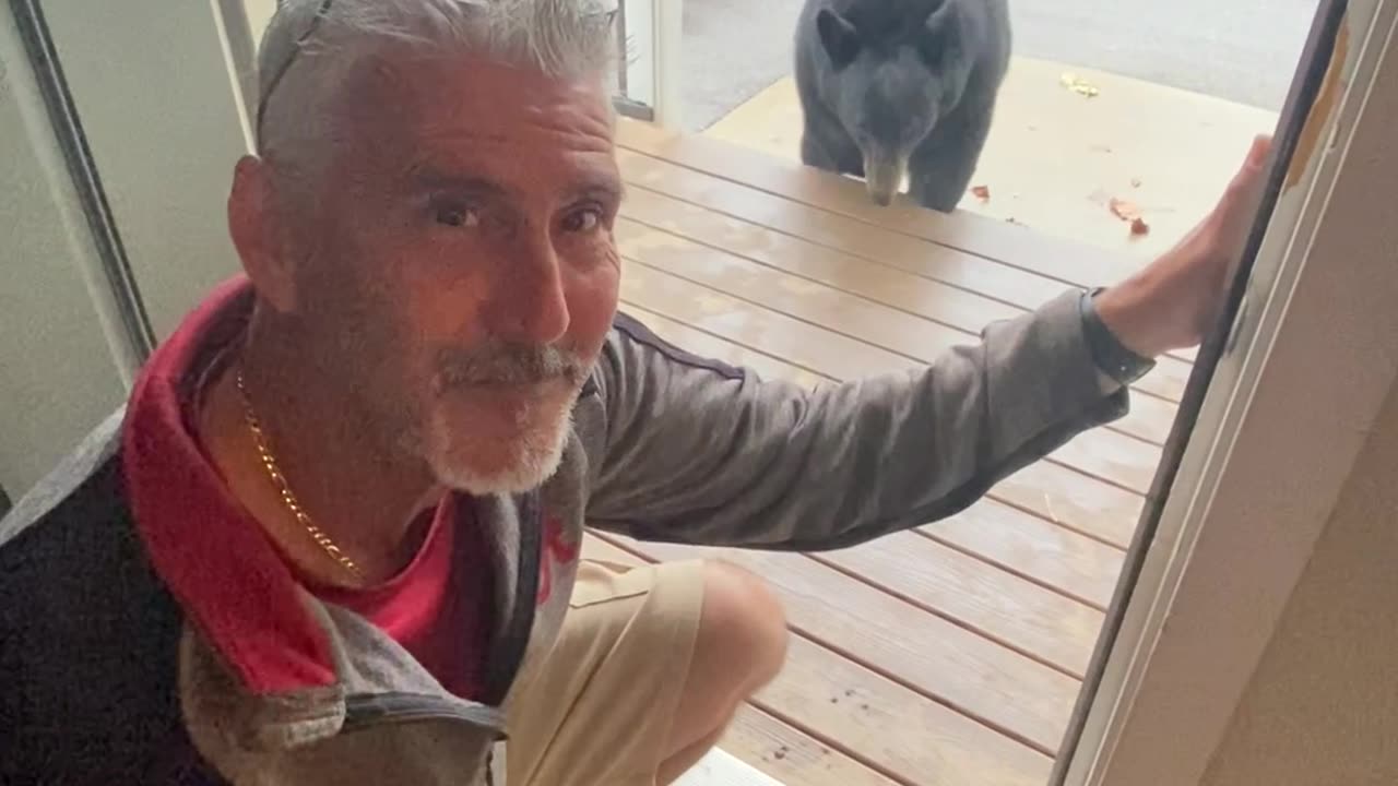 Man Instantly Regrets Taking Selfie With Bear