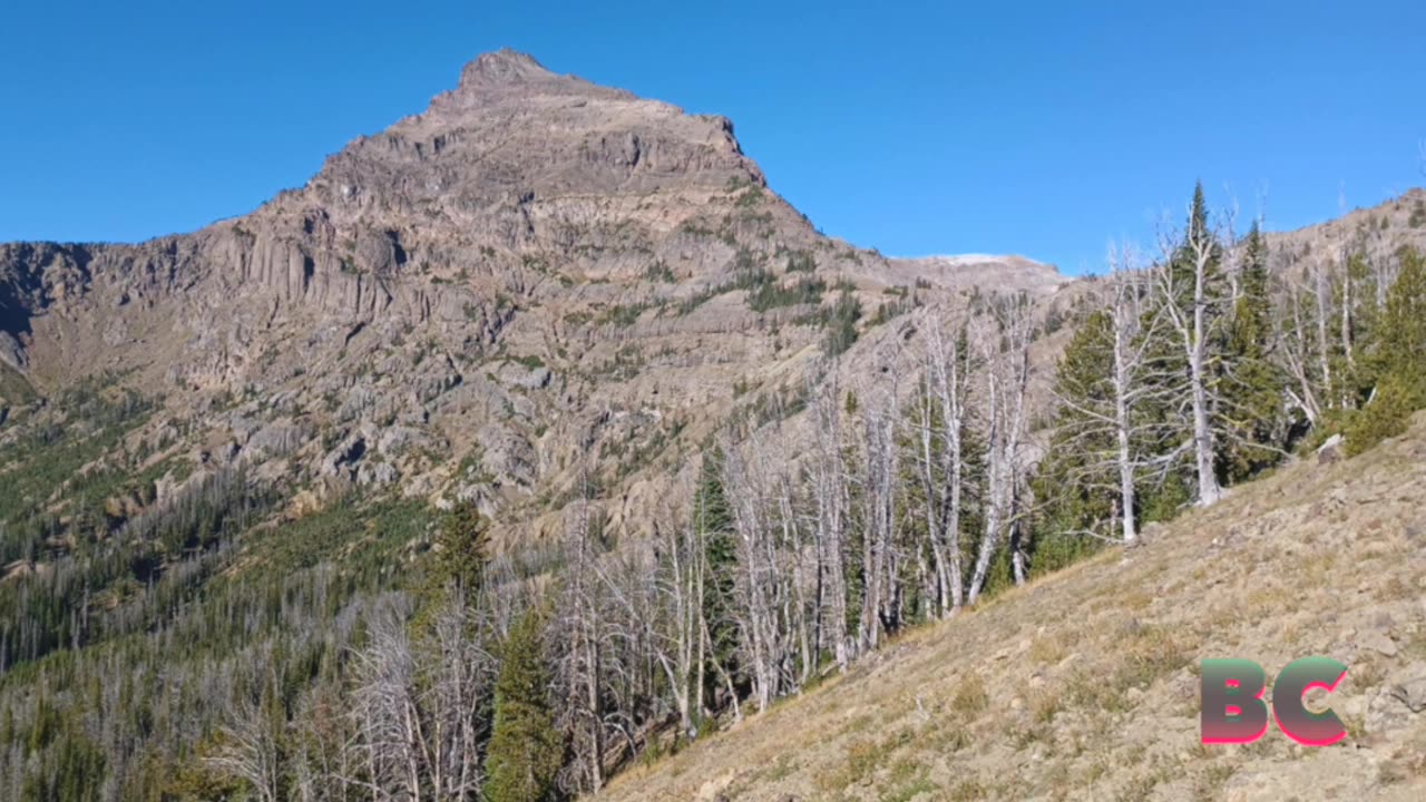 Rescuers search for Yellowstone concession worker missing after backcountry hike