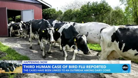 3rd case of human bird flu reported ABC News