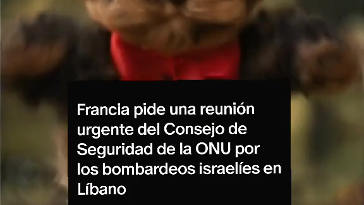 #Francia pide una reunión urgente del Consejo de Seguridad de la #ONU