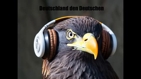 AUSLÄNDER RAUS REMIX BASS BOOST! 🎧