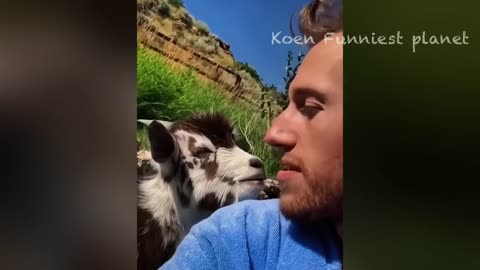Funny Dogs And Cats Videos 2024 😅 - Best Funniest Animal