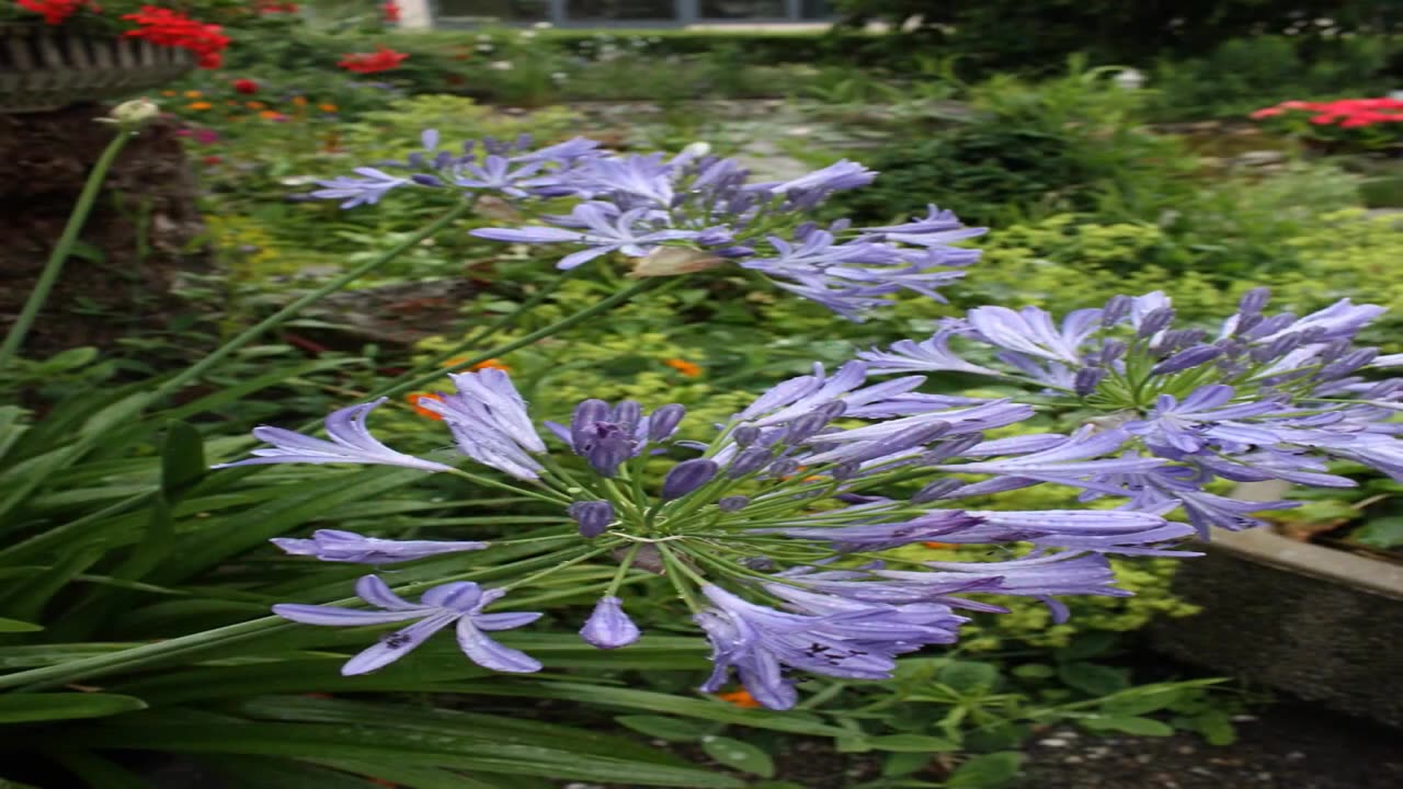 Stunning images and music