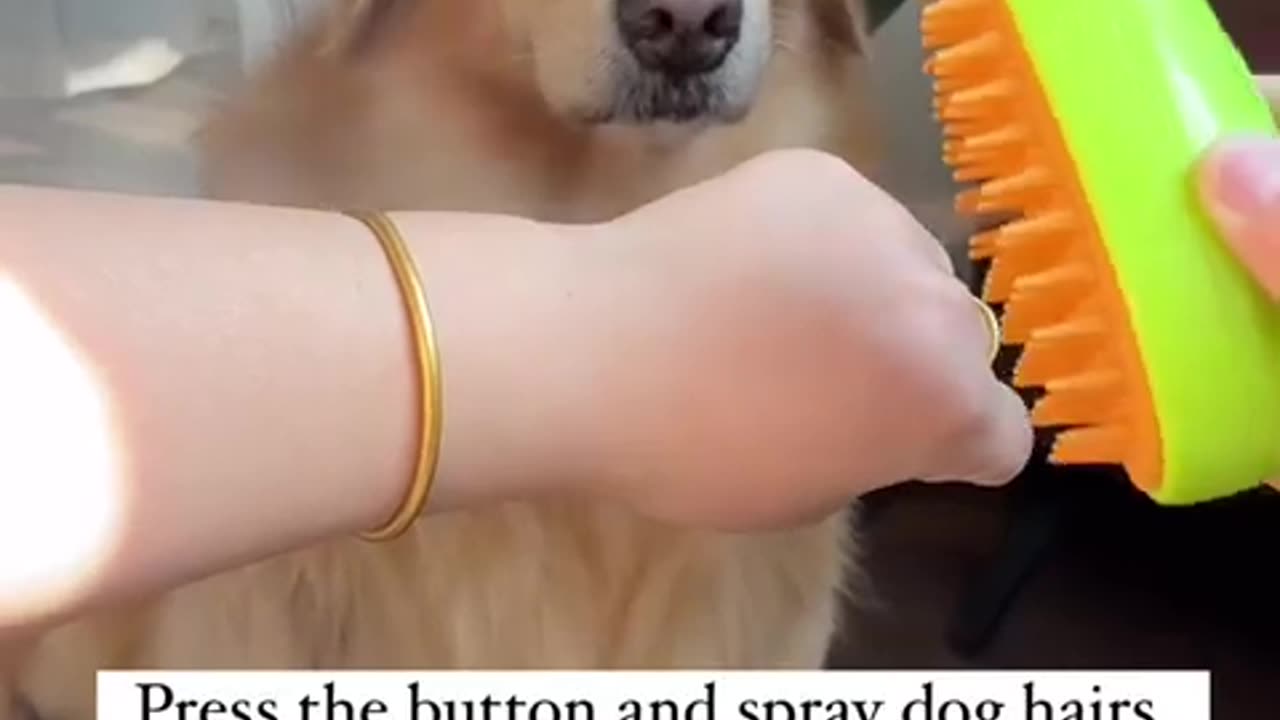 NEW BRUSH ARRIVED. WHAT DO YOU THINK . #funny #explore #dogs #pets #doglover #doggo #LUXY_PETS