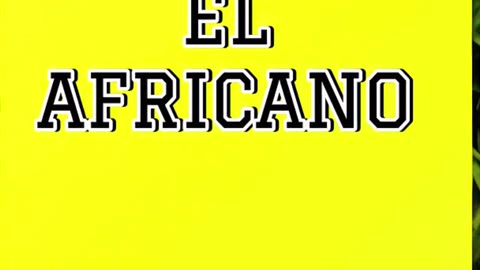 Looking for a bold journal? Check out El Africano's vibrant style! 🌞🌿 #YellowNotebook #ElAfricano