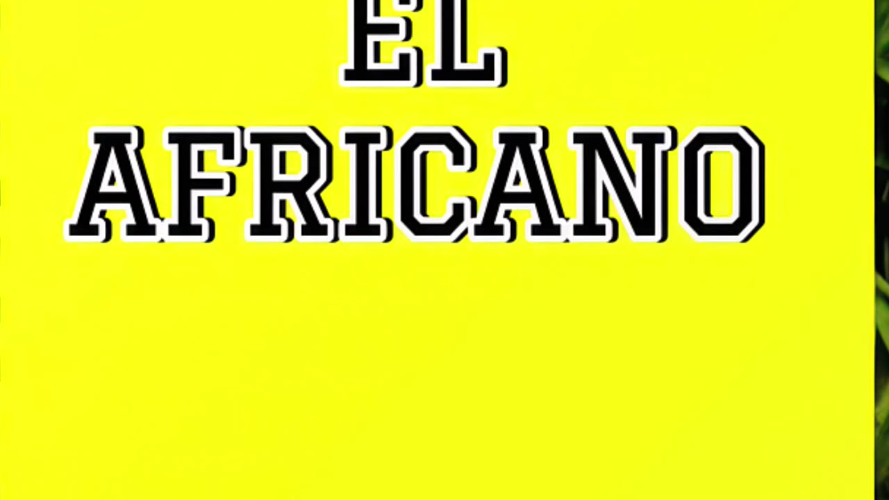 Looking for a bold journal? Check out El Africano's vibrant style! 🌞🌿 #YellowNotebook #ElAfricano
