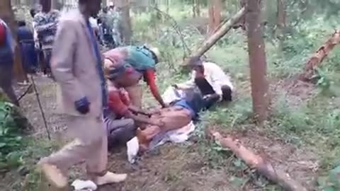 Amhara Genocide