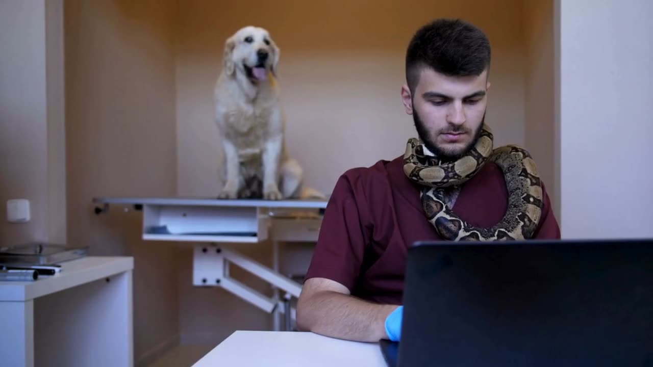 Vet working while holding his pet snake