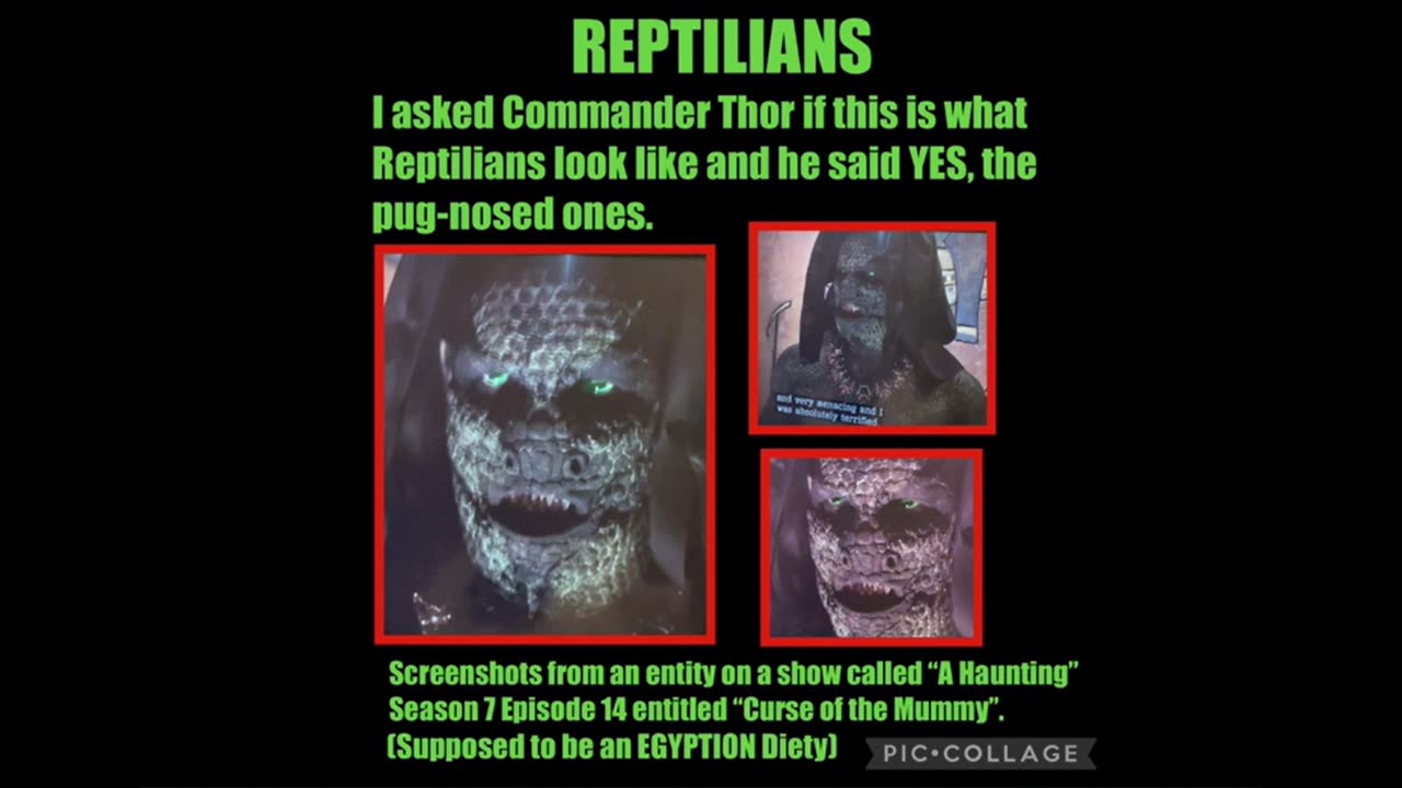 Reptilian Pics .......