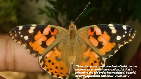 Change is still possible