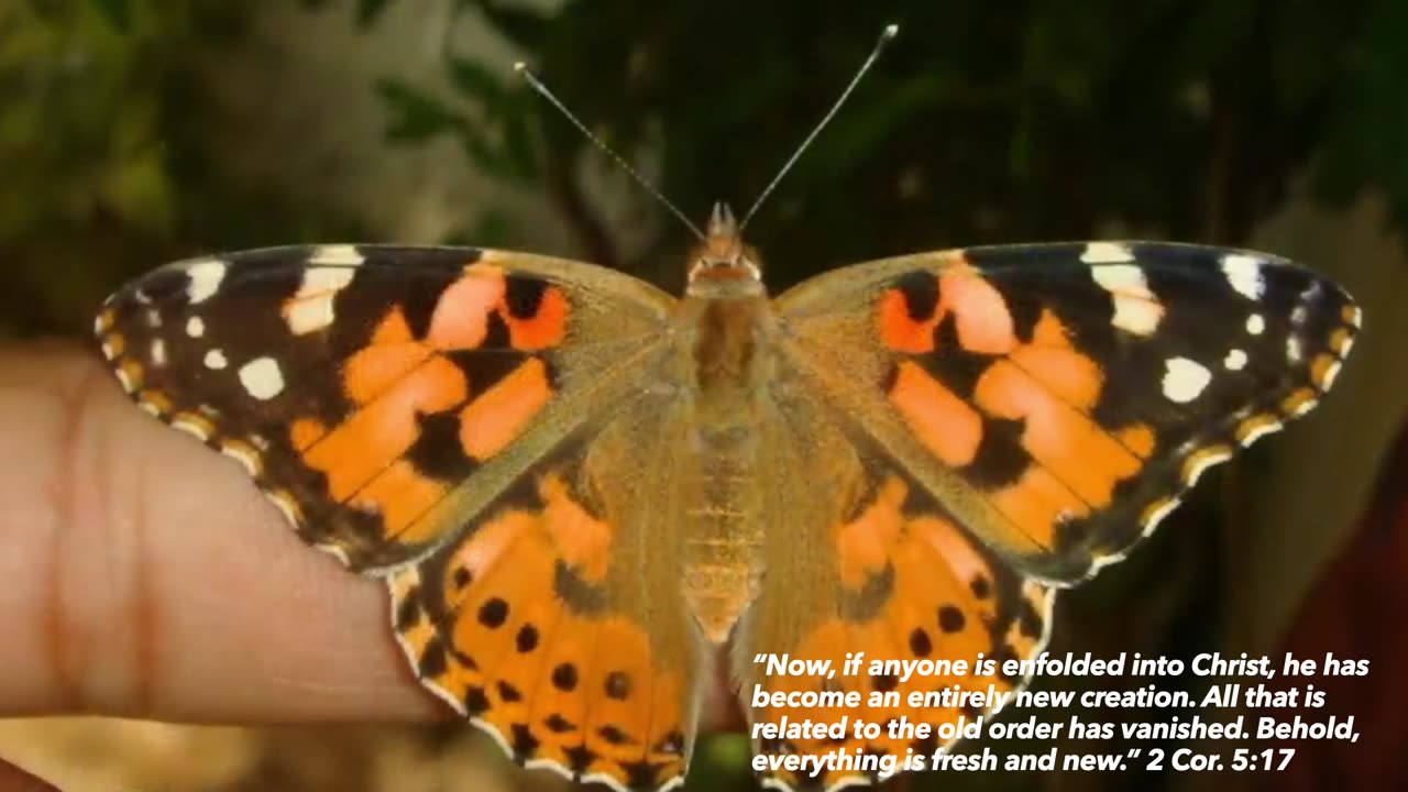 Change is still possible