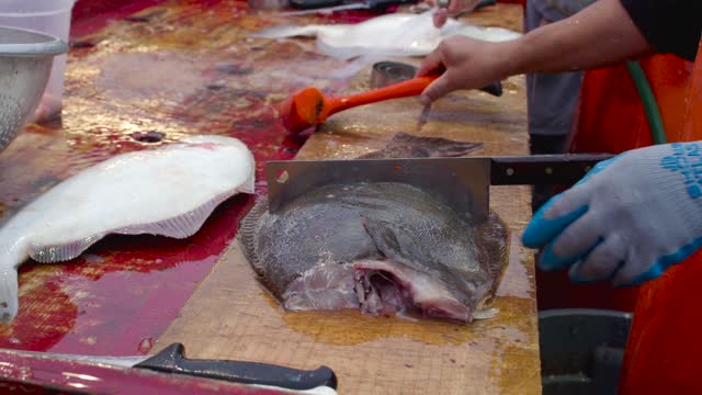 Incredible Giant Spade Angel Fish Cutting Skills In Bangladesh Fish Market | Fish Cutting Skills