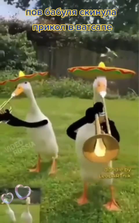 Feathered Friends: Art Inspired by Birds