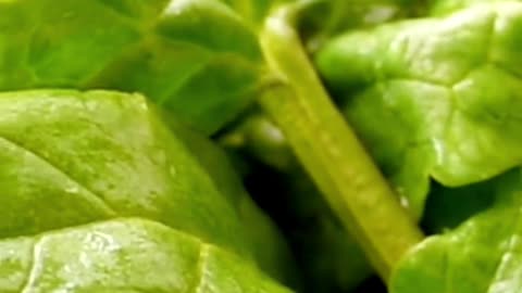 Healthy Eating Tips for Beginners