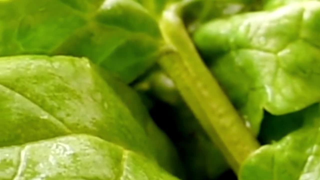 Healthy Eating Tips for Beginners