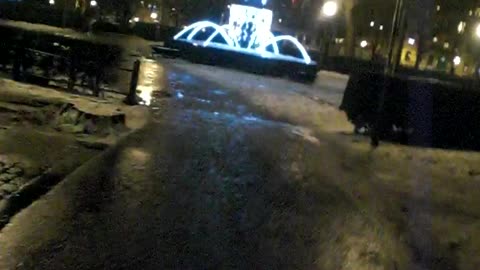 Stadsparken. Helsingborg 3 Dec. 2012