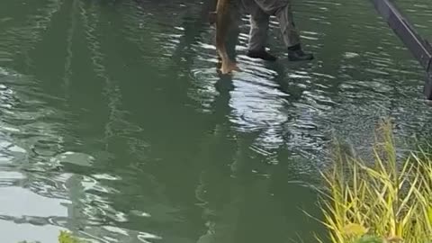 Fish Fishing A Man