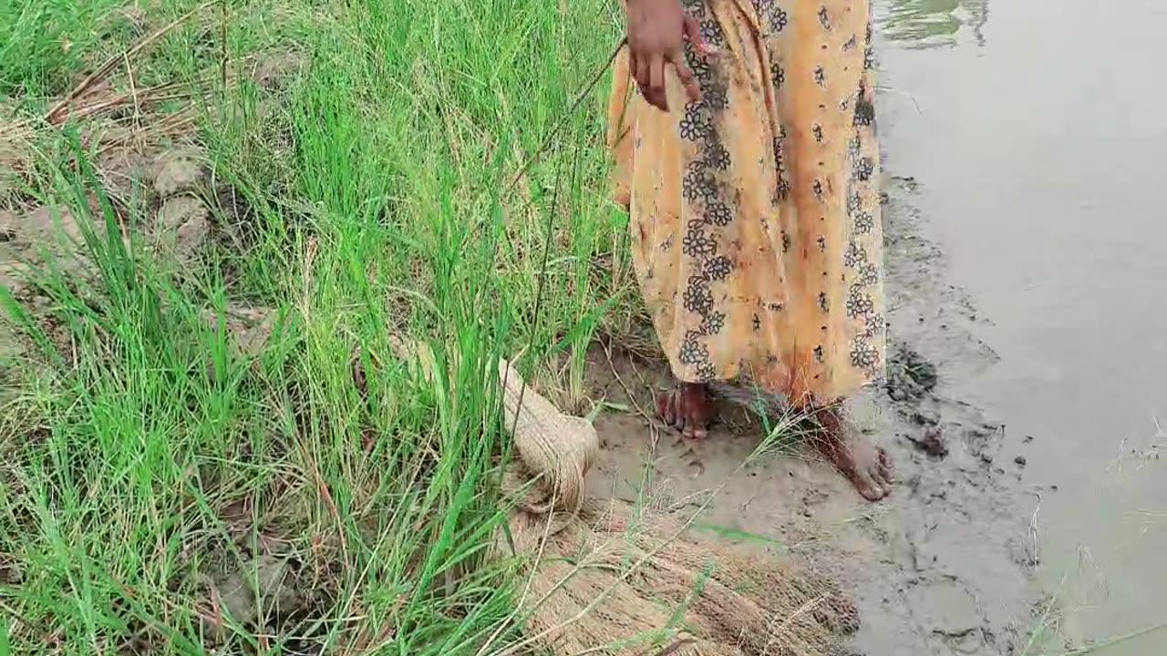 Amazing Village Women incredible Net fishing