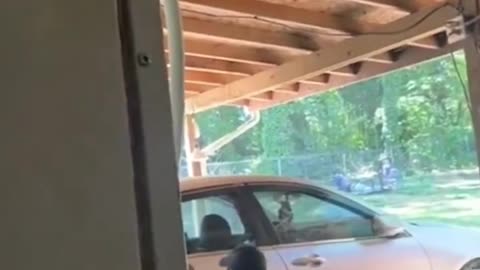 Full uncensored footage of the shootout between Charlotte cops and gunmen