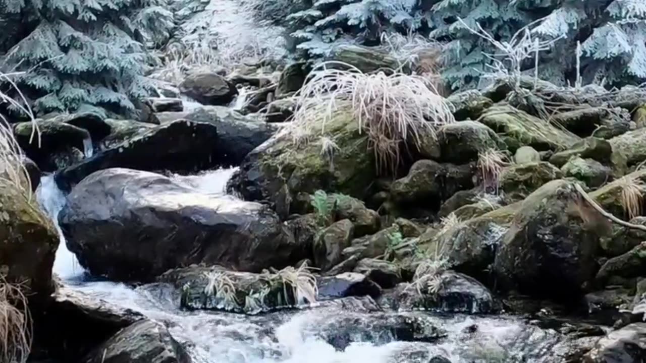 Nature - ❄ & 💦