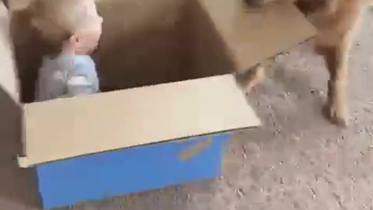 Otra vez