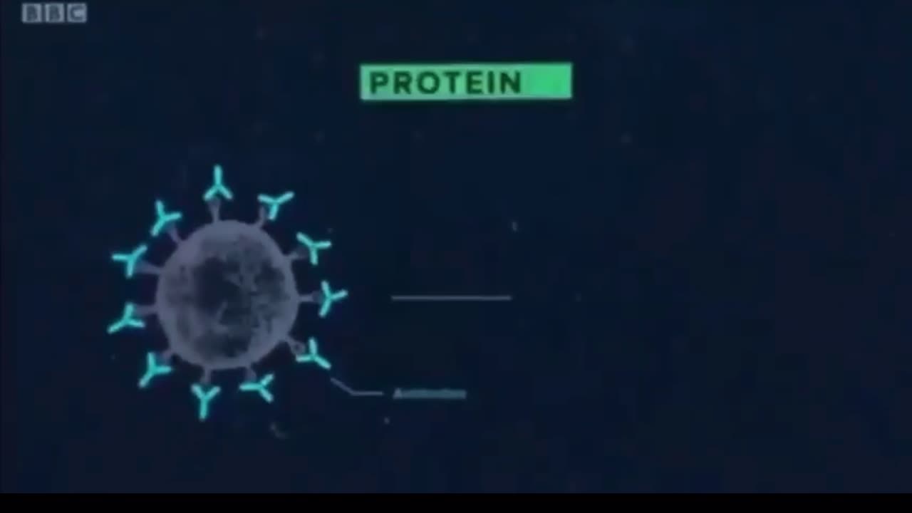 HIV Fragments Attached to Covid 19 Spike Protein Vaccines ...