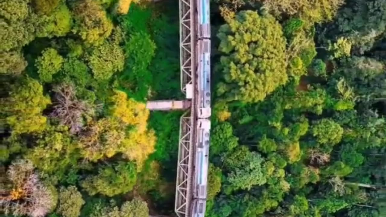 Watch: Scenic Train Ride Through Beautiful Mountains! 🚂🏔️