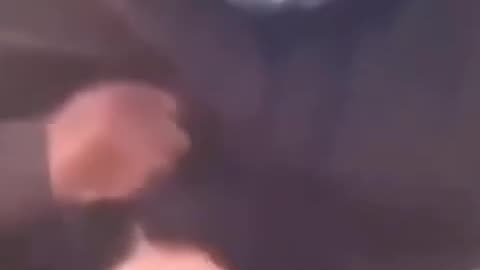 Brutal Cartel Punishment.mp4