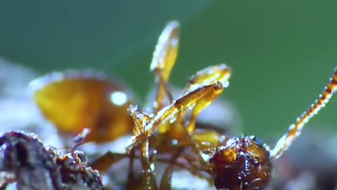 His name was in Your name as a witness and he rahna to