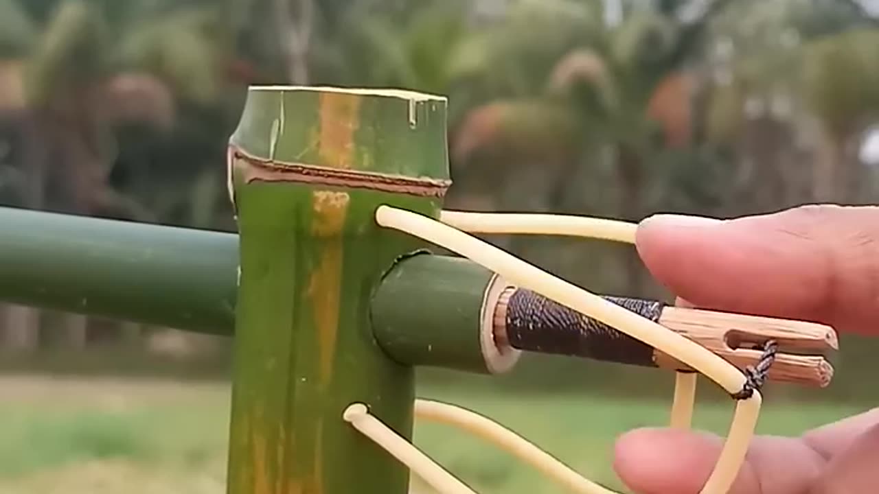 Bamboo creations