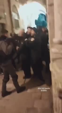 Are you enjoying the chaos?