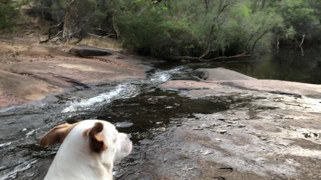 Just relaxing by the creek 😎🐶😎