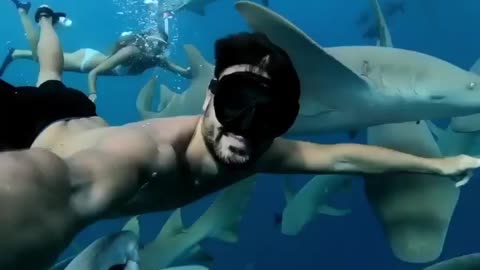 Nurse shark encounters! 😍