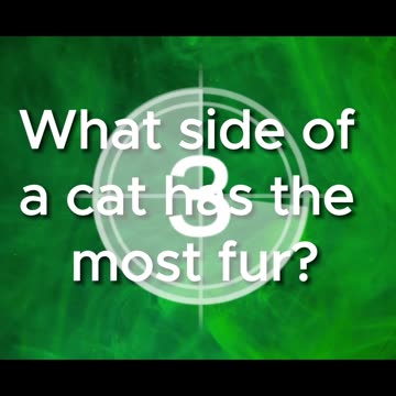 🤔Can you solve the riddle??🤔 #40