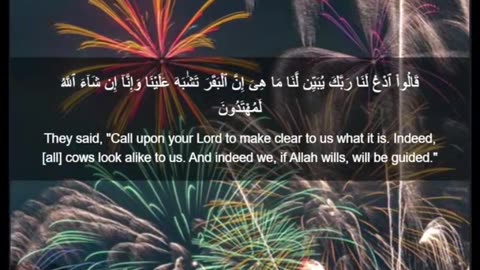 Beautiful recitation of the Holy Quran||تلاوة جميلة للقرآن الكريم