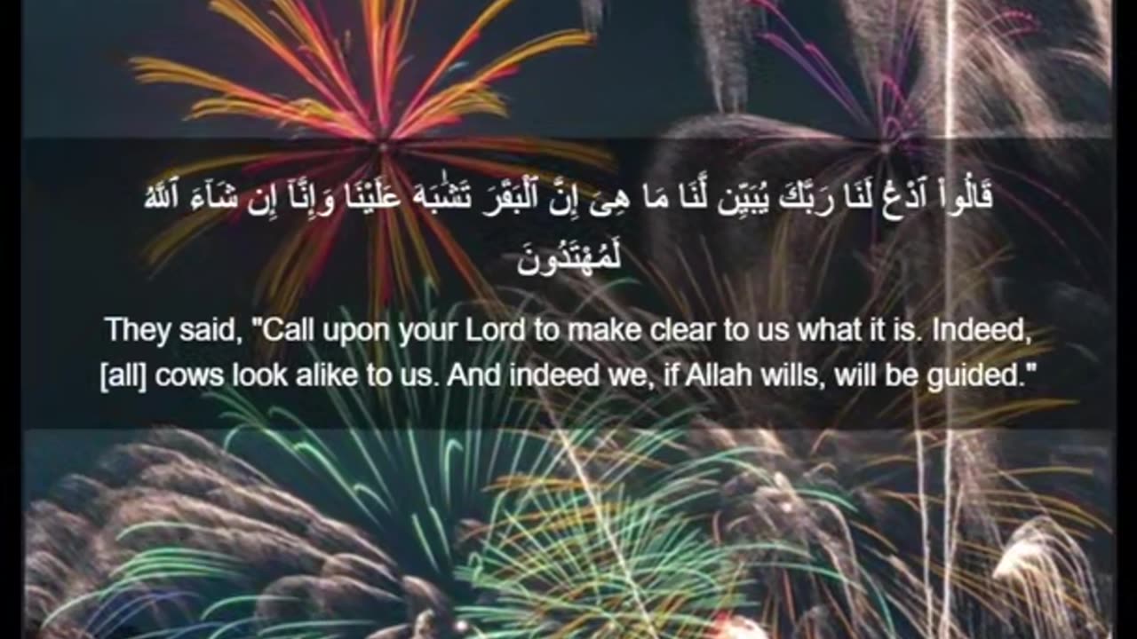 Beautiful recitation of the Holy Quran||تلاوة جميلة للقرآن الكريم