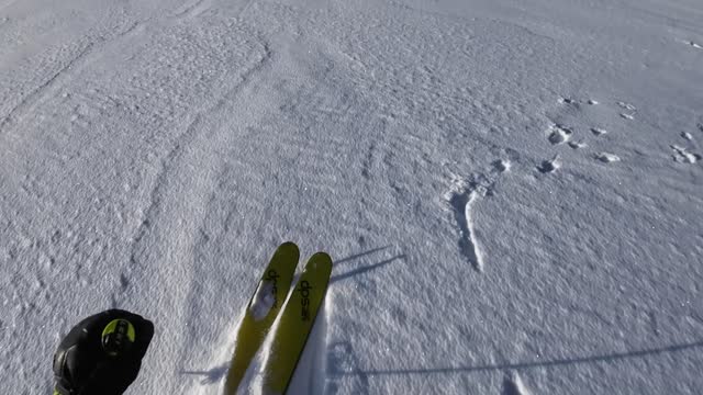 Jan 31th first run another beautiful day