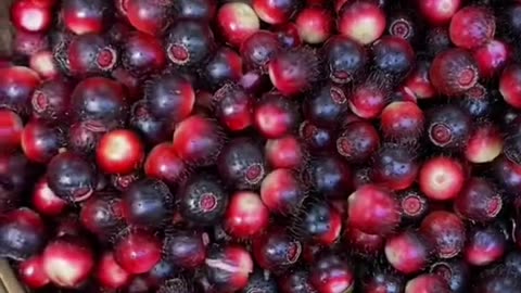 Hi to the post 📫 ☺ I have been thinking about it