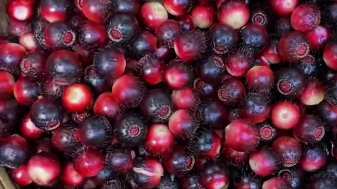 Hi to the post 📫 ☺ I have been thinking about it