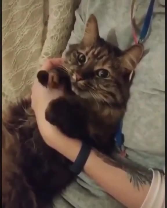 I'm spinning and spinning, I want something tasty!)