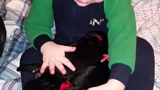 Little Boy Won't Share German Shepherd Puppies