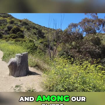 The Rise of Europe's Far Right: Who Will Be Affected?